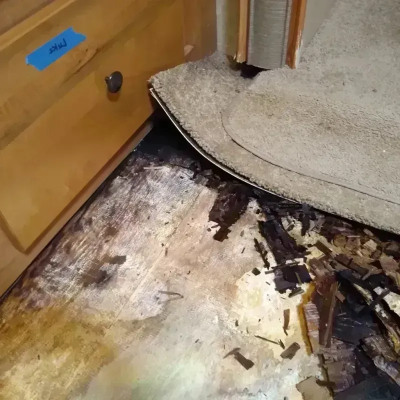 Wood Floor Water Damage in Jennings, MO